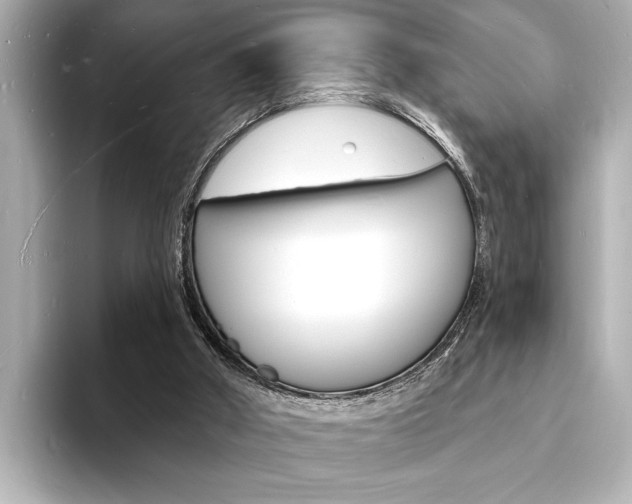 X0000093600010200710151006