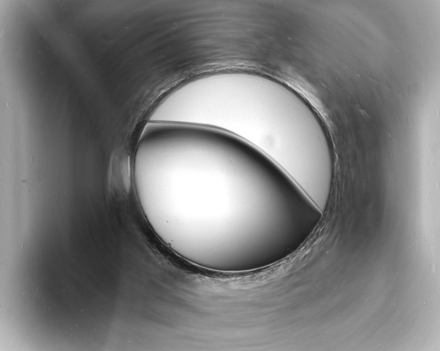 X0000093600013200710151006