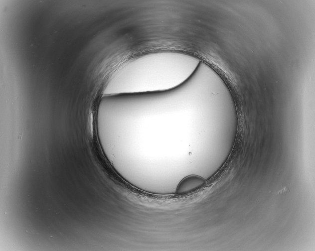 X0000093600014200710151006