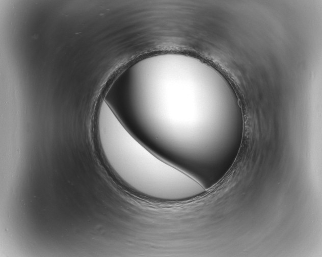 X0000093600015200710151006