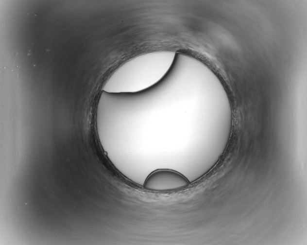 X0000093600018200710151006