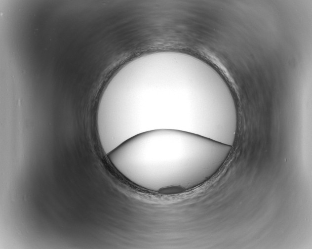 X0000093600019200710151006