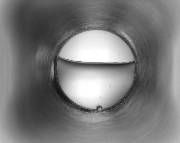 X0000093600020200710151006