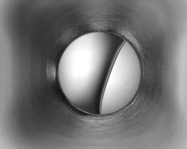 X0000093600021200710151006