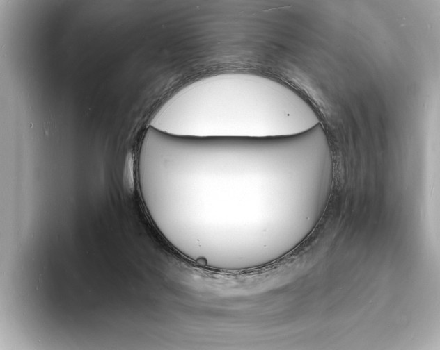 X0000093600022200710151006