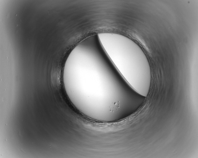 X0000093600023200710151006
