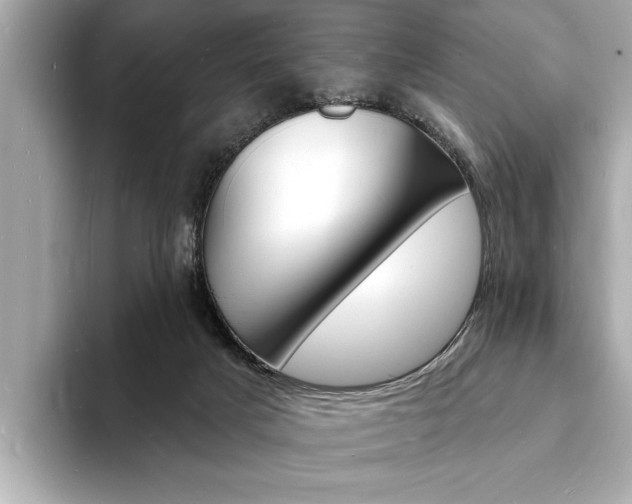 X0000093600025200710151006