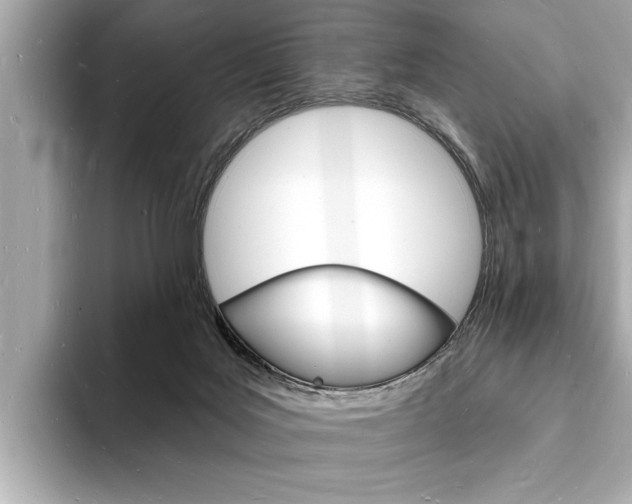 X0000093600027200710151006