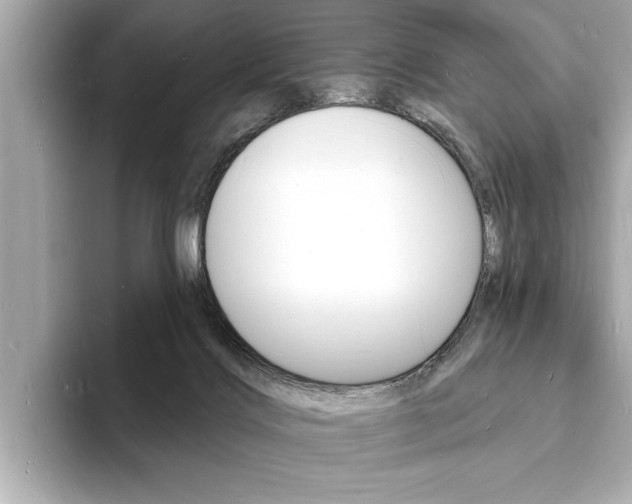 X0000093600028200710151006