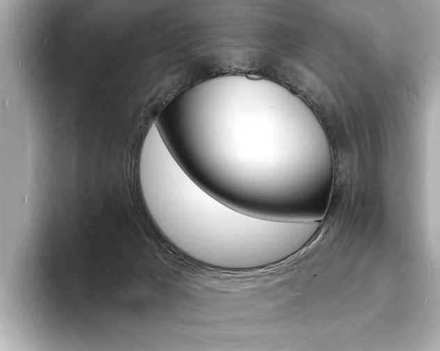 X0000093600029200710151006