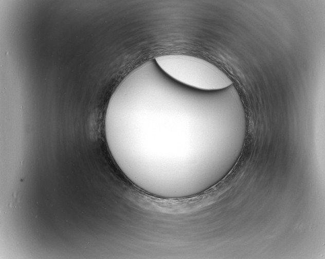 X0000093600030200710151006