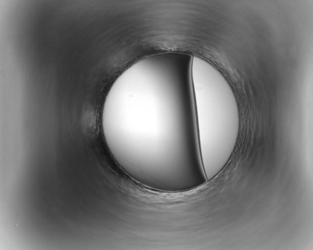 X0000093600031200710151006