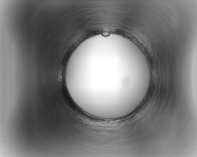 X0000093600032200710151006