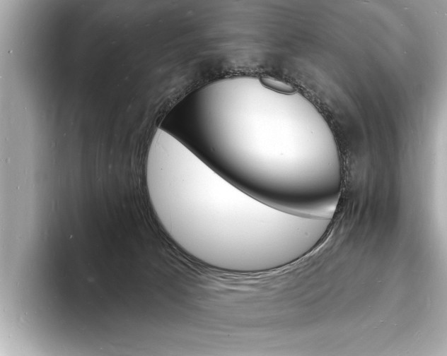 X0000093600033200710151006