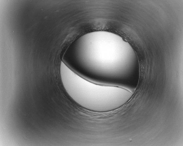 X0000093600035200710151006