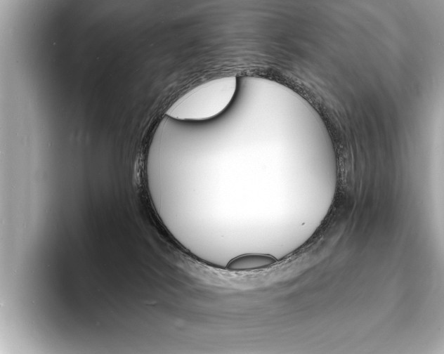 X0000093600038200710151006