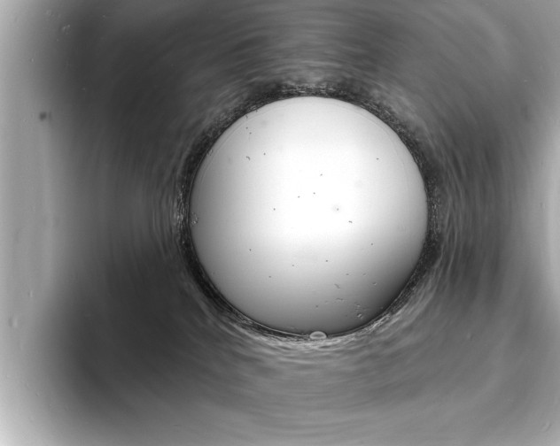 X0000093600040200710151006