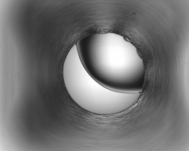 X0000093600041200710151006