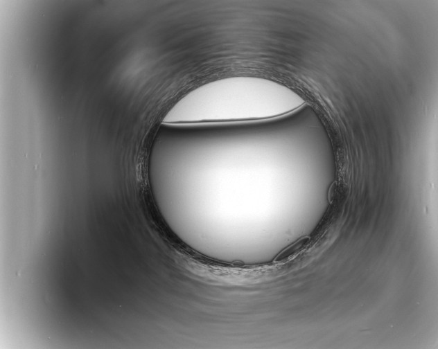 X0000093600044200710151006