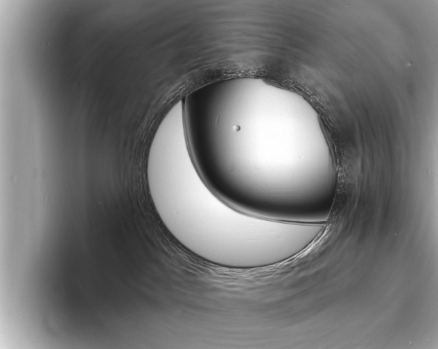 X0000093600045200710151006