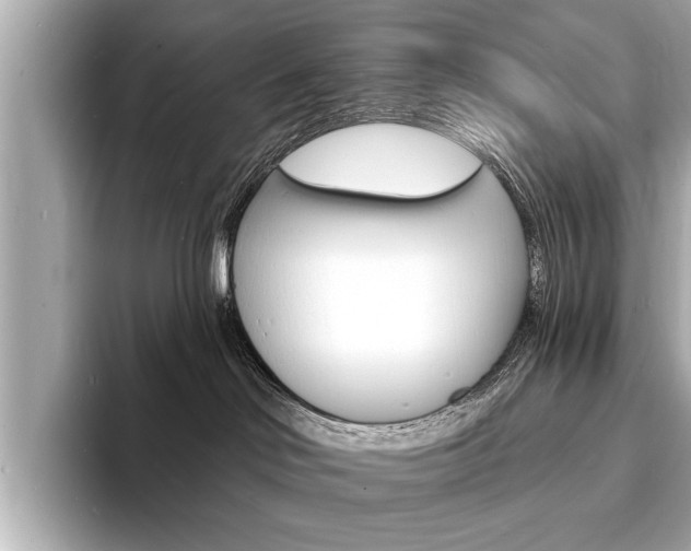 X0000093600046200710151006