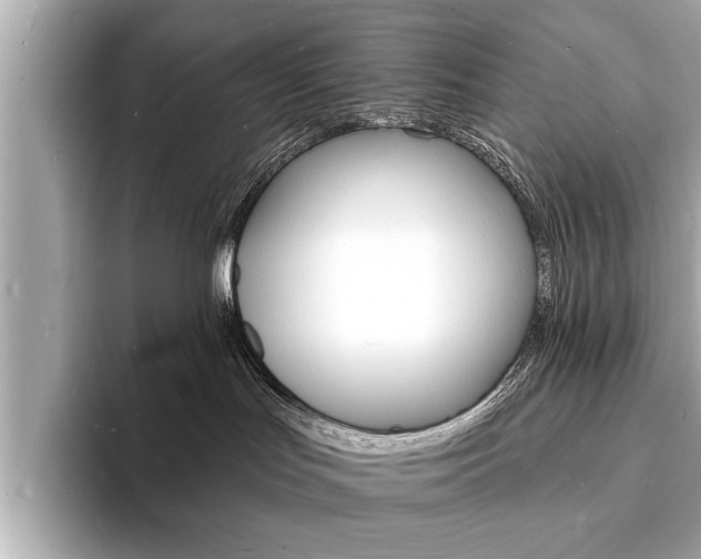 X0000093600047200710151006