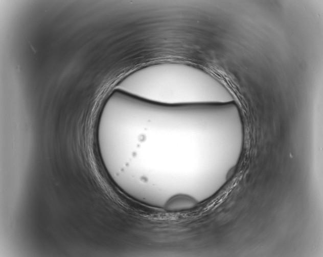 X0000093600049200710151005
