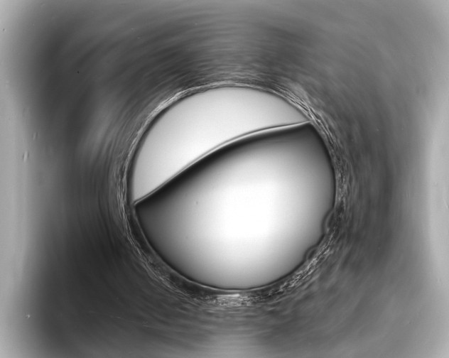 X0000093600050200710151005