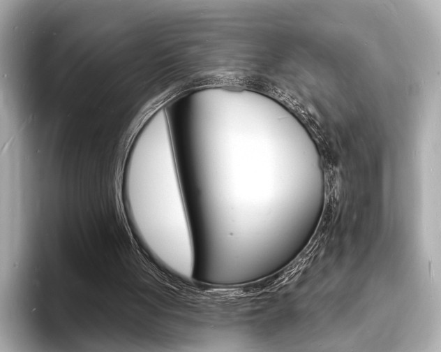 X0000093600051200710151005