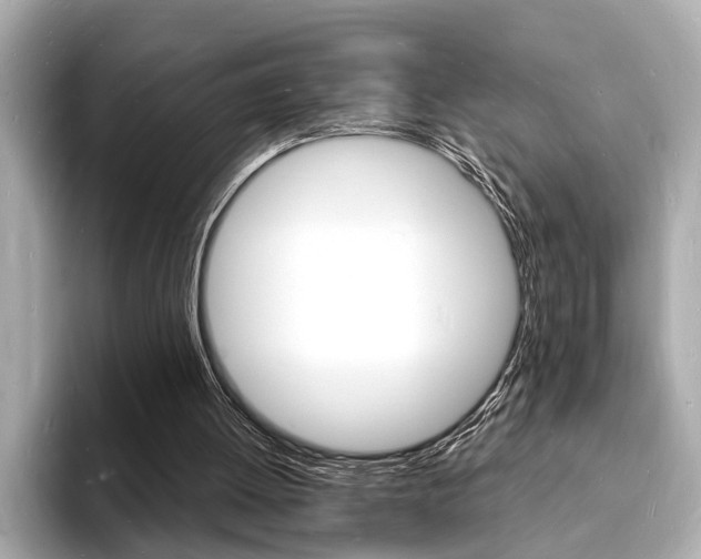 X0000093600052200710151005