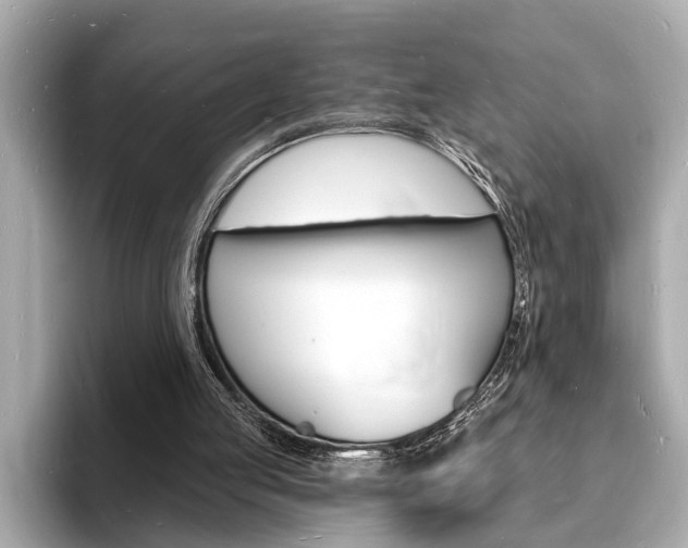 X0000093600053200710151005