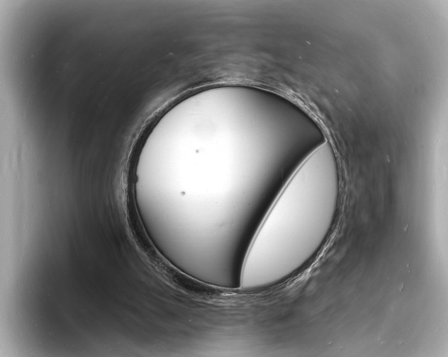 X0000093600055200710151005