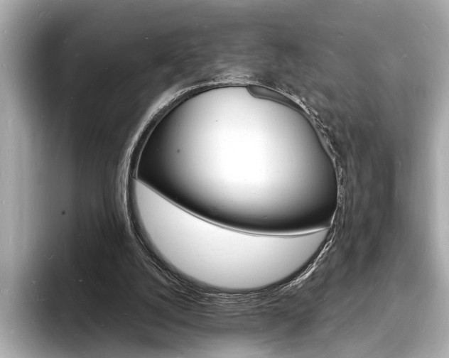 X0000093600056200710151005