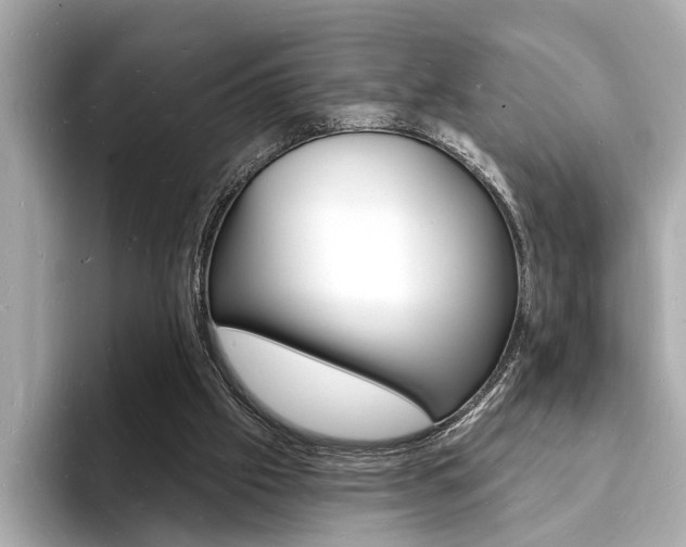 X0000093600057200710151005