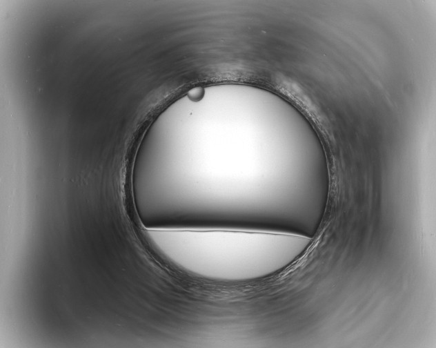 X0000093600058200710151005