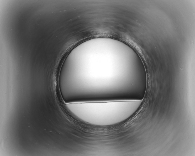 X0000093600059200710151005