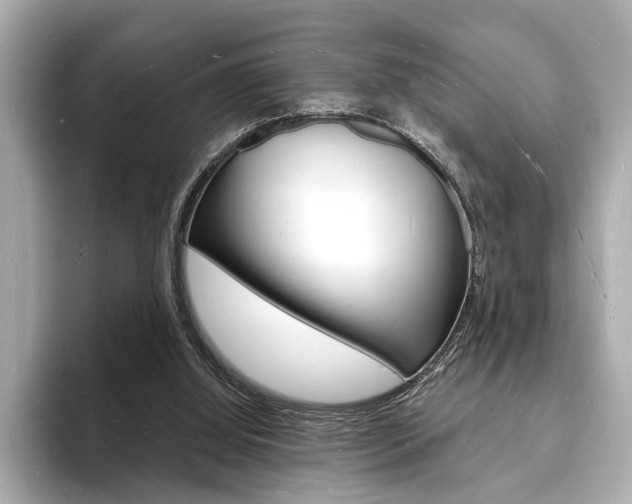 X0000093600060200710151005