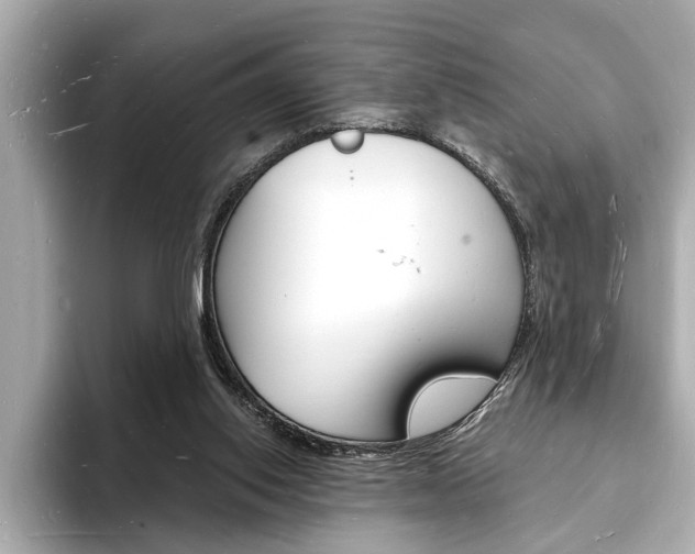 X0000093600062200710151005