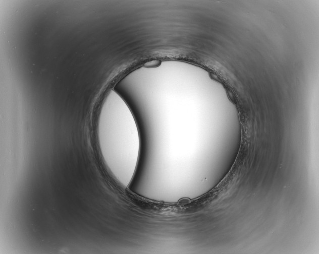 X0000093600064200710151005