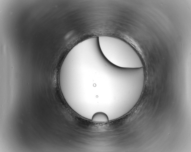 X0000093600065200710151005