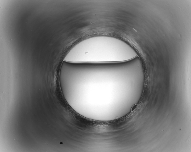 X0000093600066200710151005