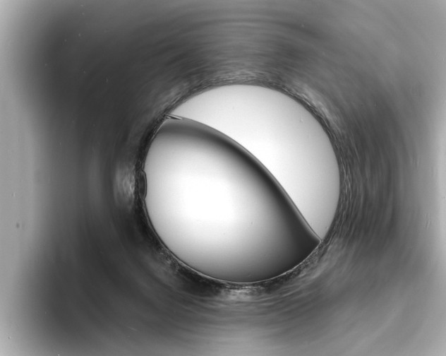 X0000093600072200710151005