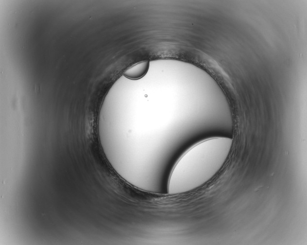 X0000093600073200710151005