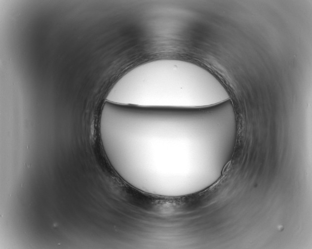 X0000093600074200710151005