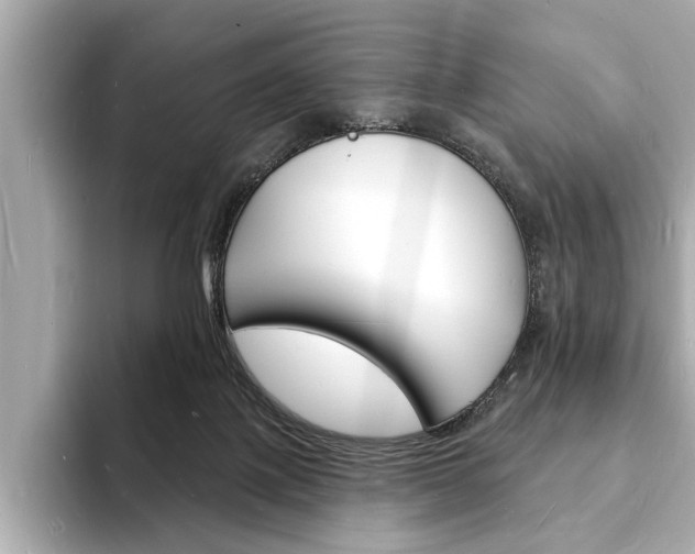 X0000093600075200710151005