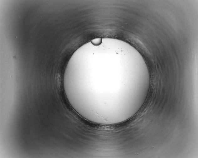 X0000093600077200710151005