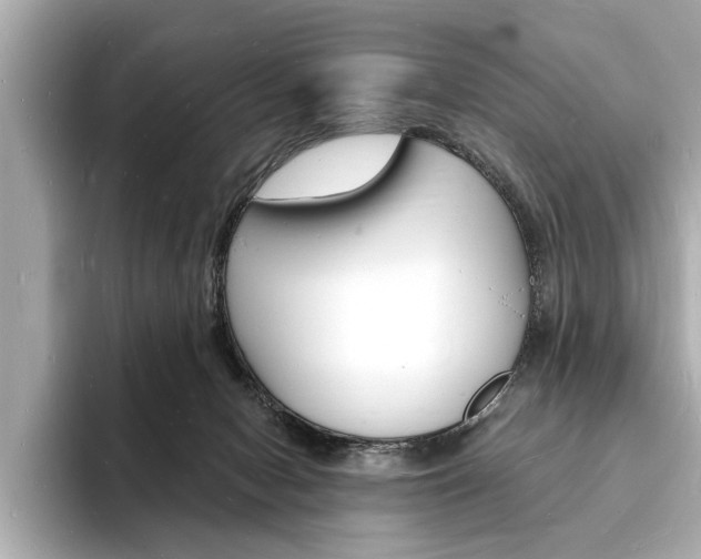 X0000093600078200710151005