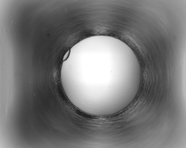 X0000093600079200710151005