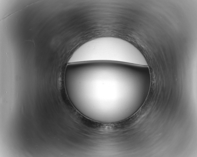 X0000093600080200710151005