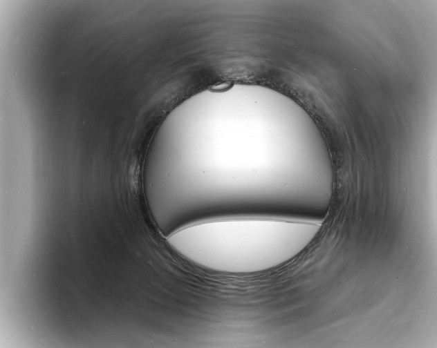 X0000093600081200710151005